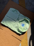 Putting Green #2 Bengal Broadcloth Stripe