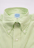 Putting Green #2 Bengal Broadcloth Stripe